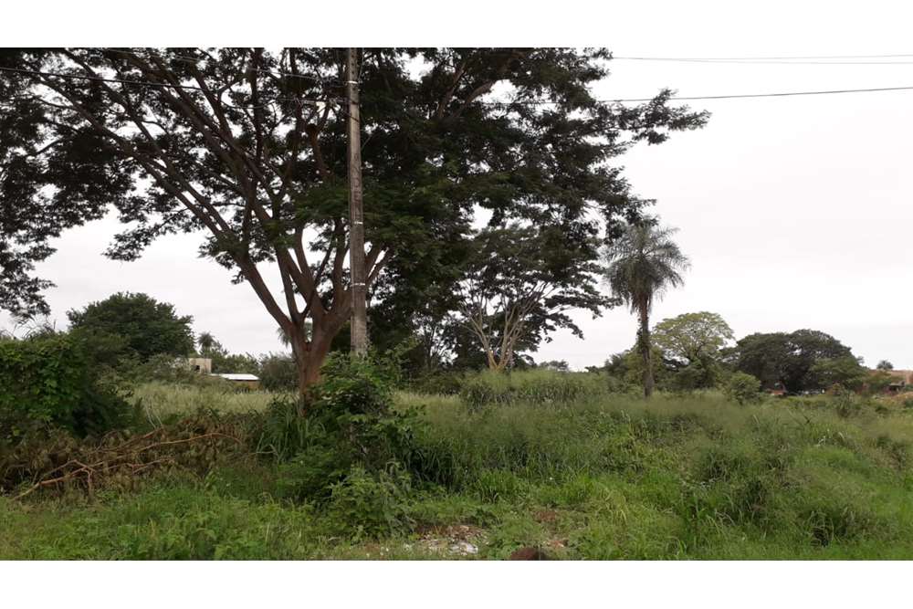 Land for sale in Villa del Agrónomo, San Lorenzo