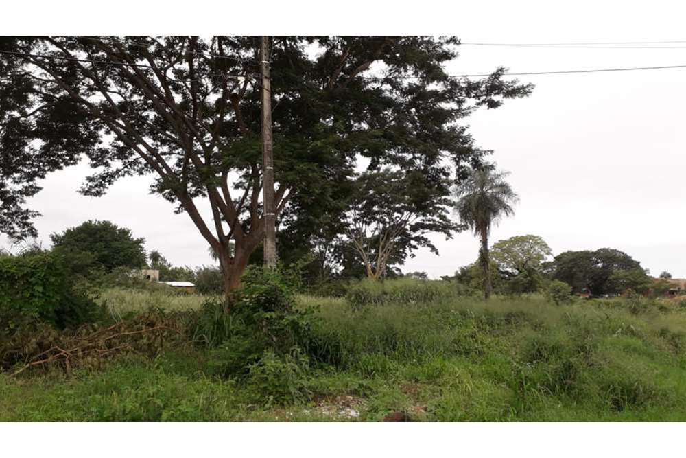 Land for sale in Villa del Agrónomo, San Lorenzo