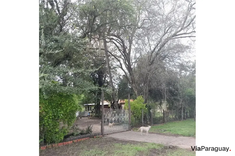 Terreno en venta en Villa Hayes, Presidente Hayes