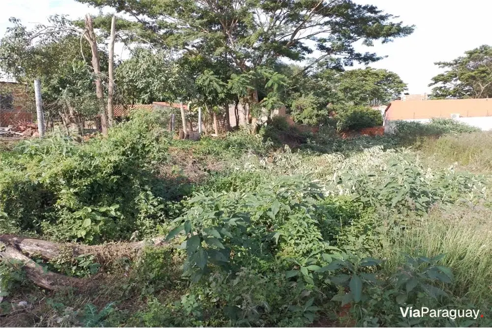 Terreno à venda em Villa Leticia, Ñemby