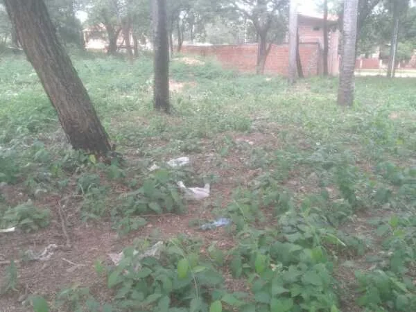 Land for Sale in Villa Margarita, Mariano Roque Alonso