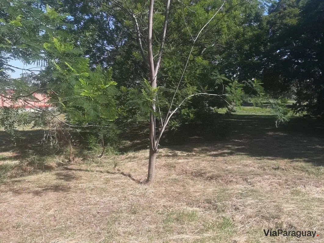Terreno en venta en Villa Margarita, Mariano Roque Alonso