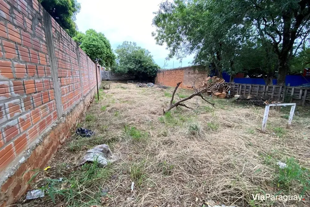 Land for sale in Villa Ofelia, Fernando de la Mora