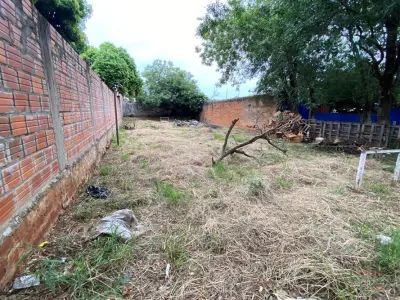 Land for sale in Villa Ofelia, Fernando de la Mora