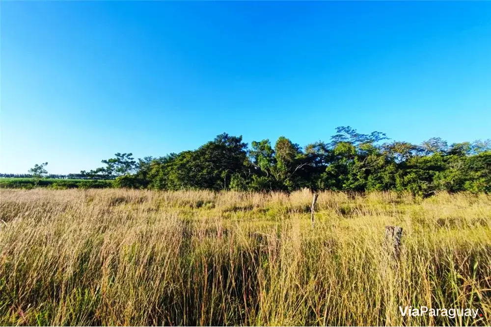 Terreno à venda em Villeta: 7 lotes juntos de 2.587 m²