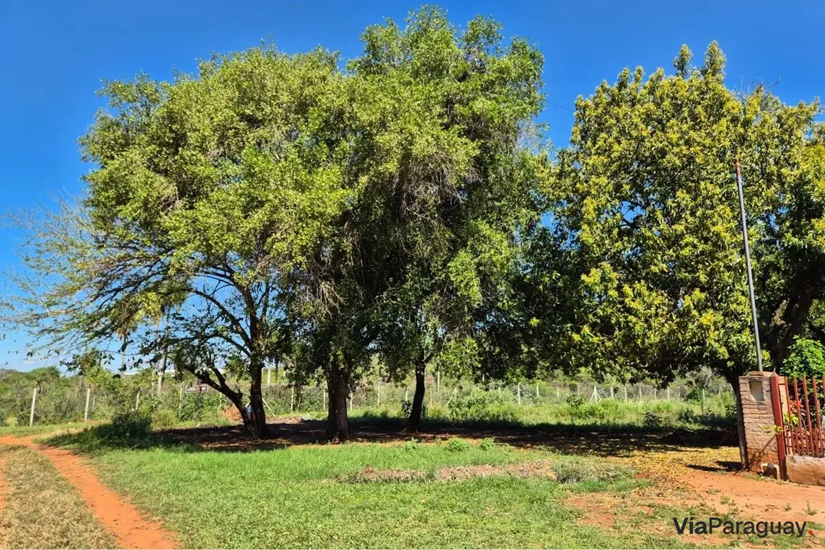 Terreno en venta en Villeta, Central