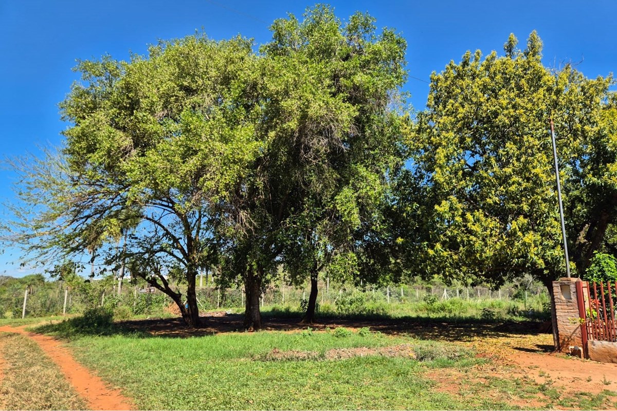 Terreno en venta en Villeta, Central