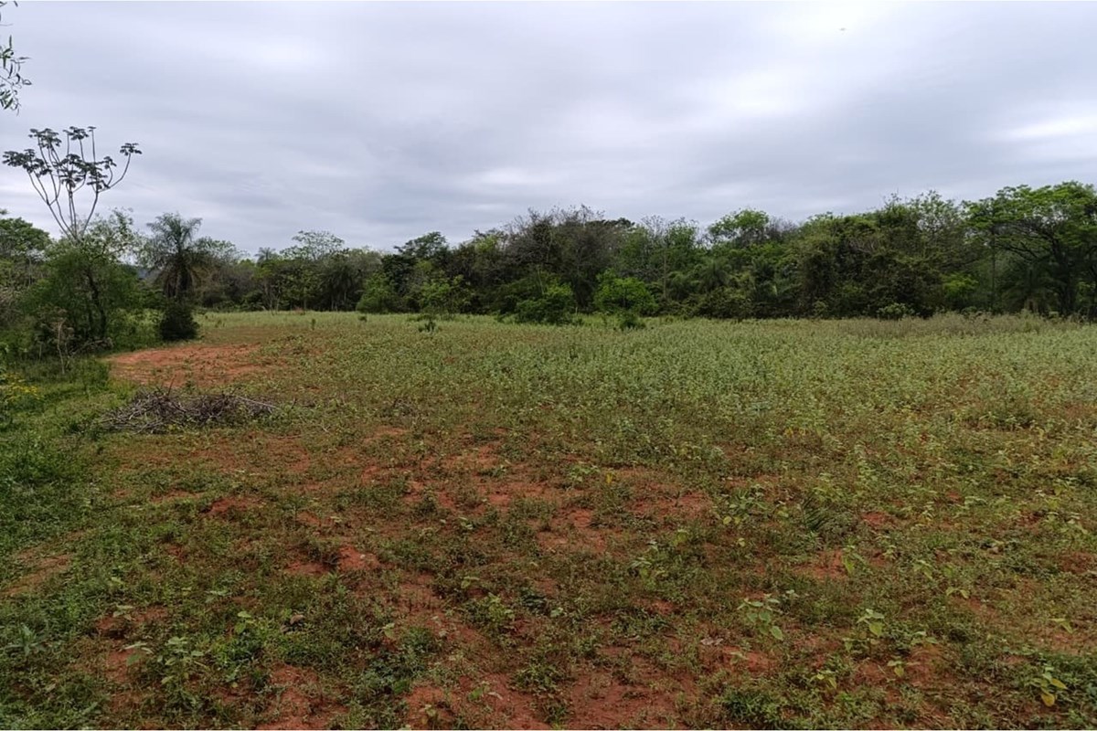 Land for sale in Yaguarón, Paraguarí