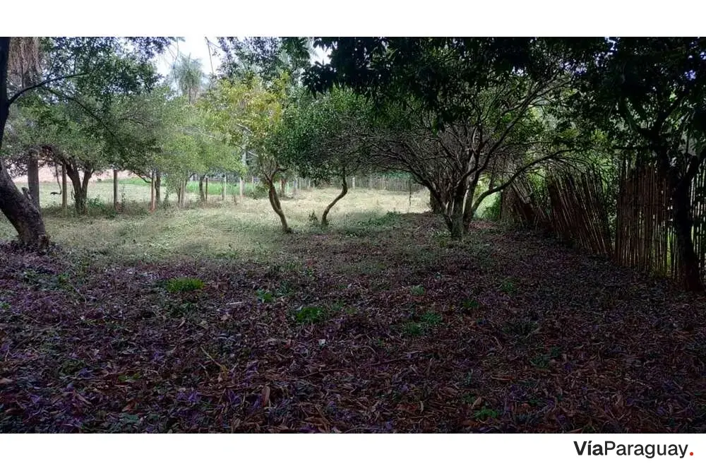 Terreno à venda em Ybyraro, Capiatá, 1.485 m²