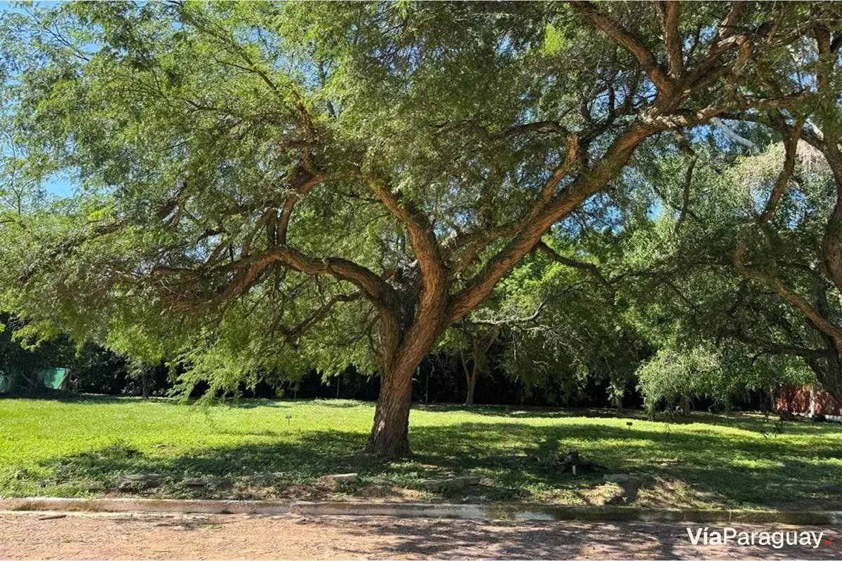 Terreno à venda em Ypacaraí, bairro Jardín, 360 m²
