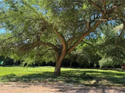 Terreno à venda em Ypacaraí, bairro Jardín, 360 m²
