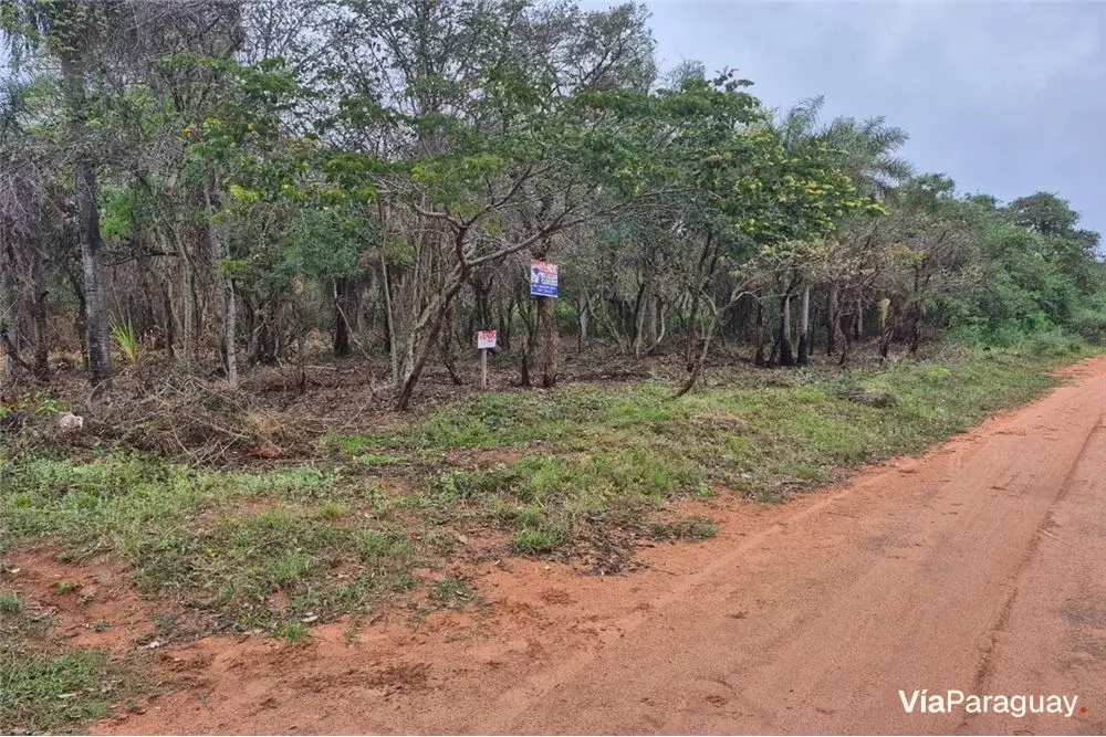 Terreno à venda em Ypacaraí, Central