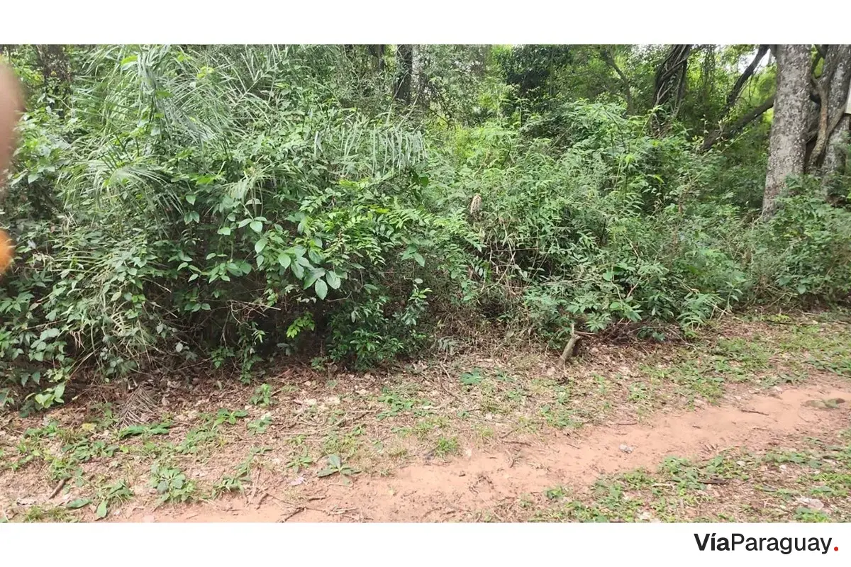 Terreno à venda em Ypacaraí, Mbocajaty, 2.957 m²