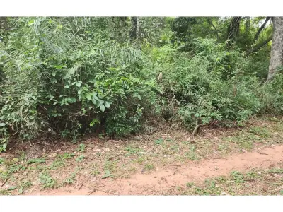 Terreno à venda em Ypacaraí, Mbocajaty, 2.957 m²