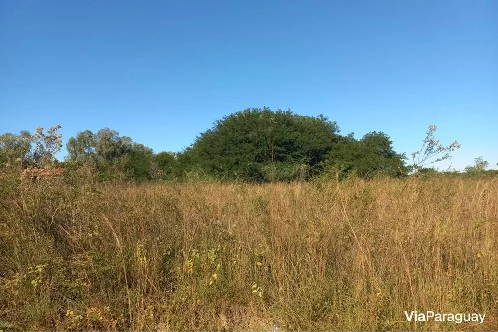 Terreno à venda em Ypané, Central, de 520 m²