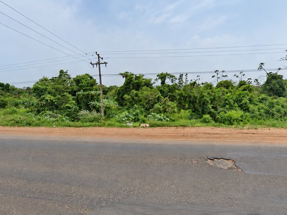 Land for sale in Ypané, San Nicolás
