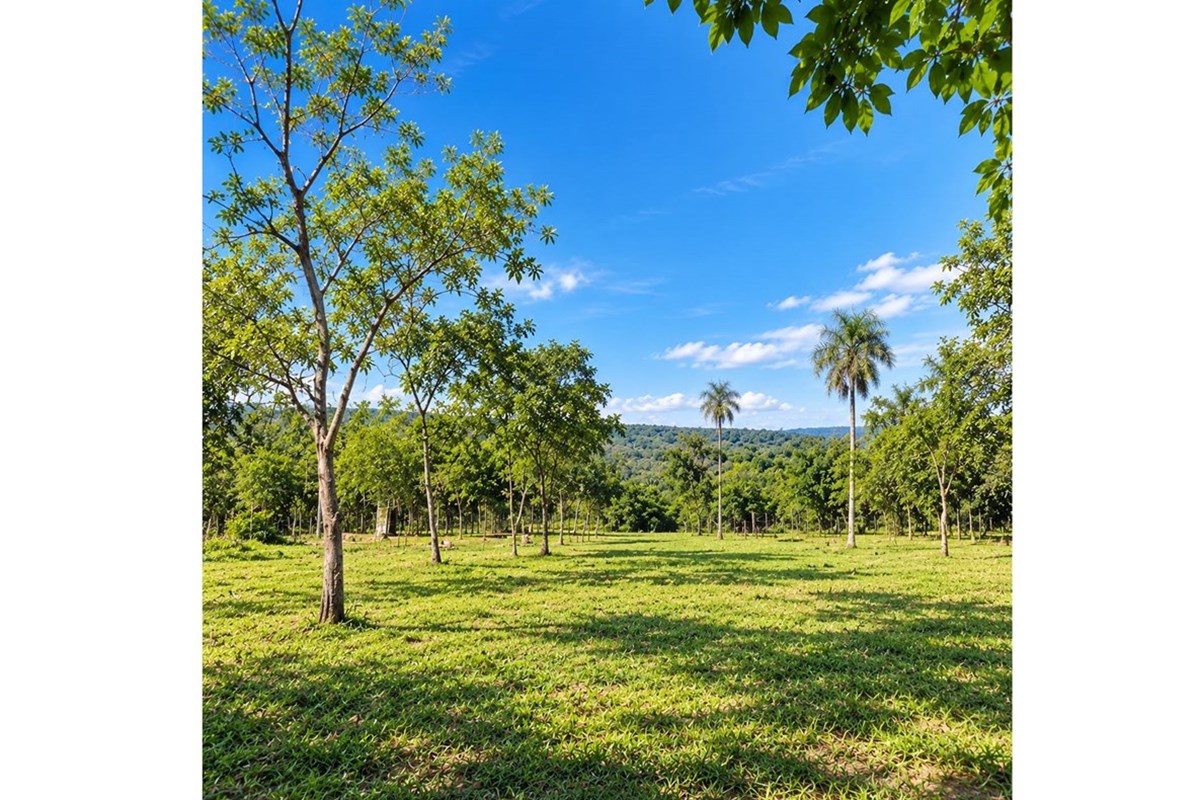 Land for sale in Ytú, Caacupé