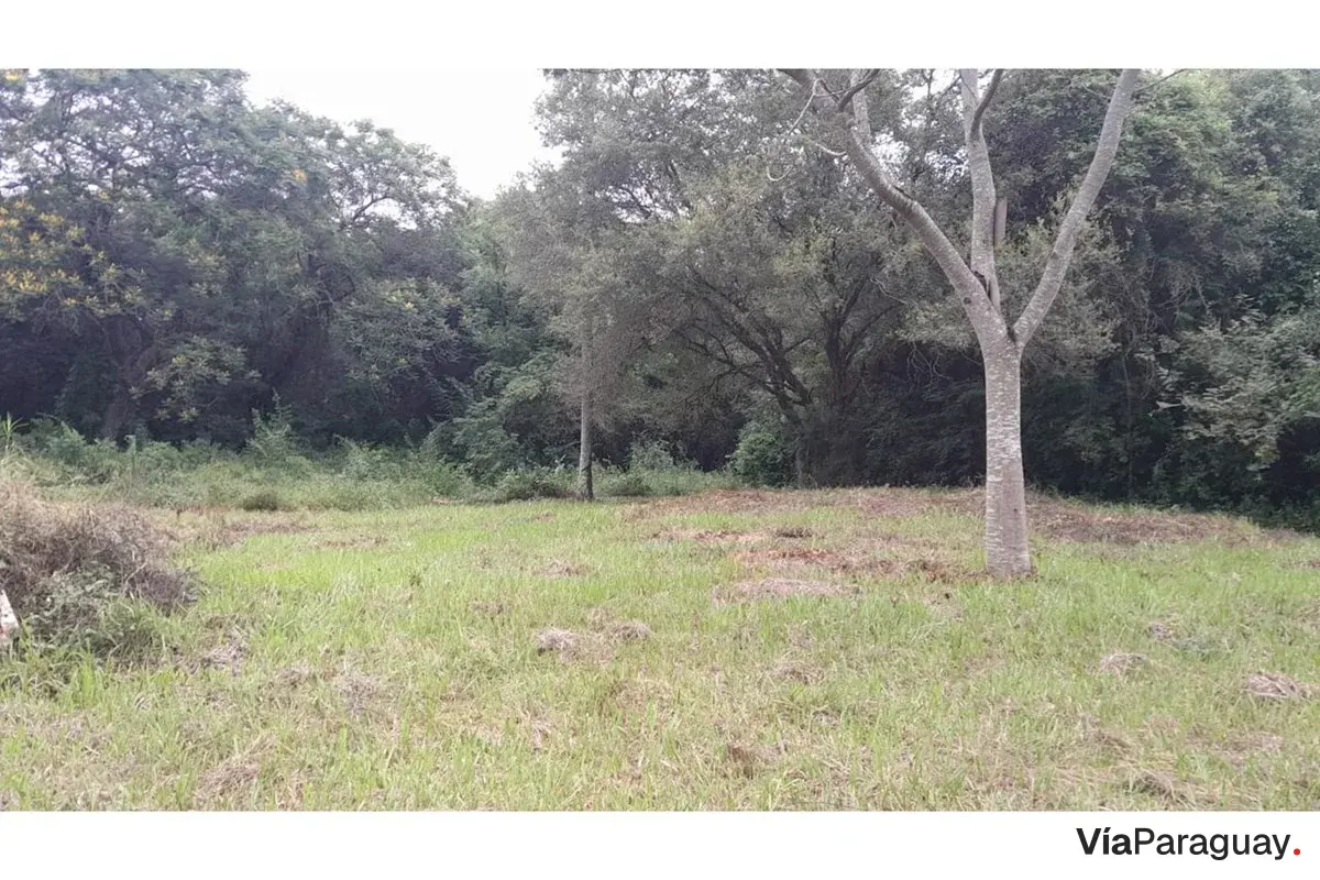 Terreno en venta en Zárate Isla, Luque