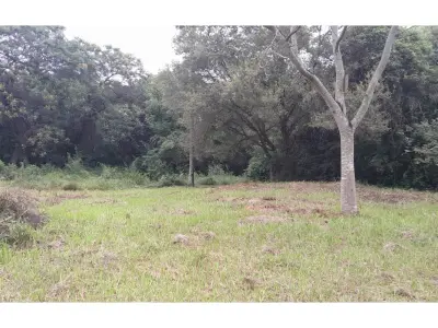 Terreno en venta en Zárate Isla, Luque 1
