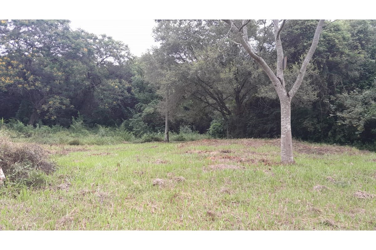Terreno à venda em Zárate Isla, Luque