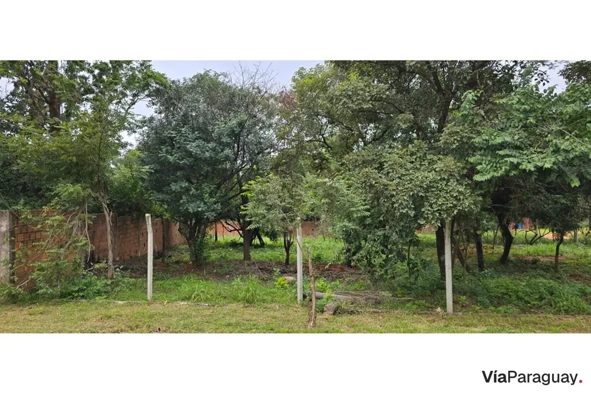 Terreno à venda em Zárate Isla, Luque