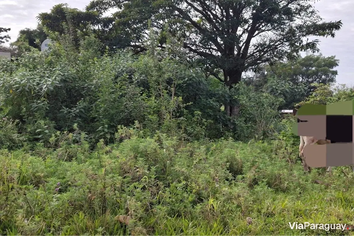 Terreno en venta en Zárate Isla, Luque