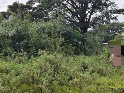 Terreno en venta en Zárate Isla, Luque 1