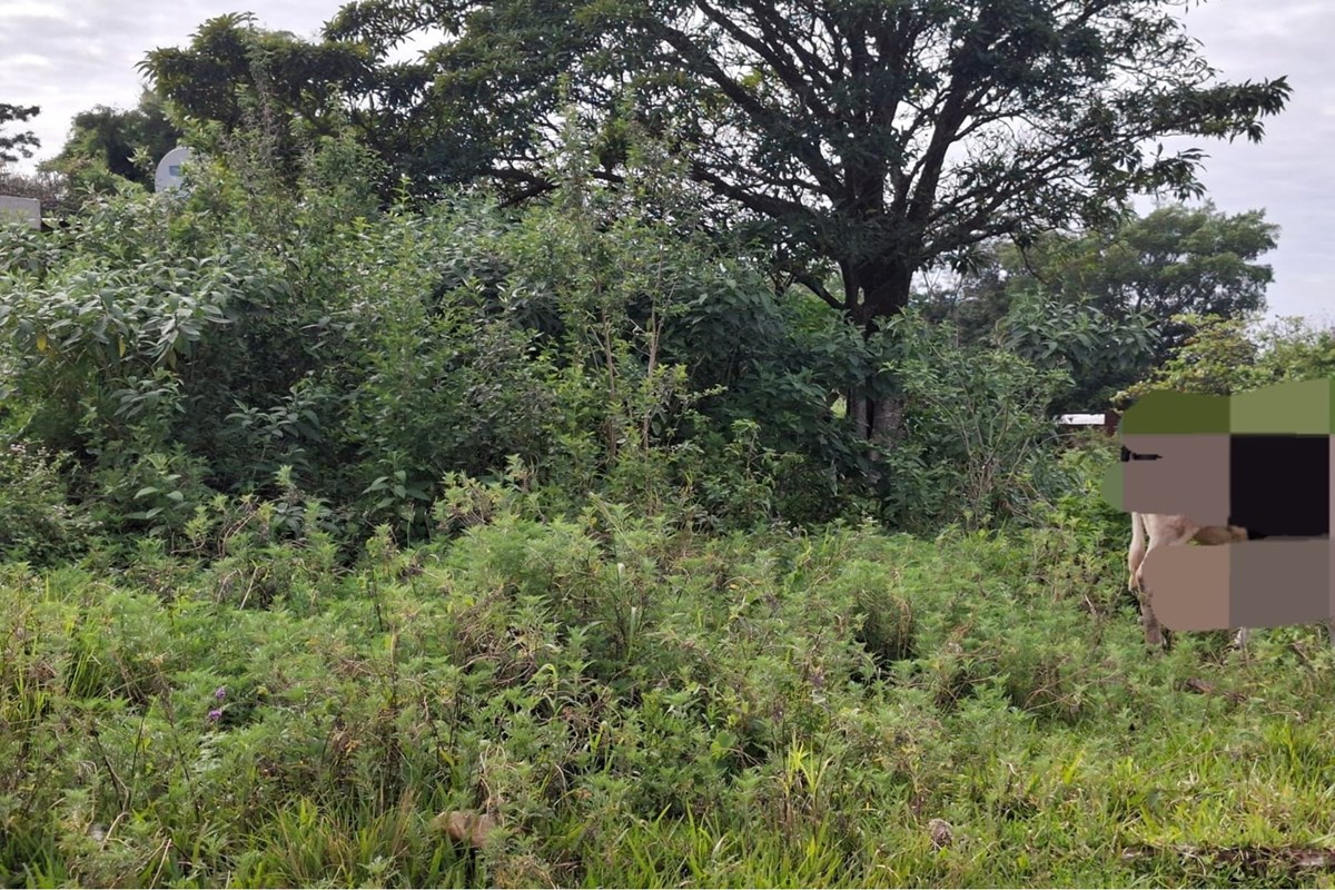 Terreno en venta en Zárate Isla, Luque