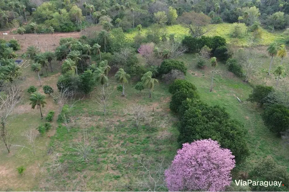 Land for sale in Zona Don Papalo, San Bernardino