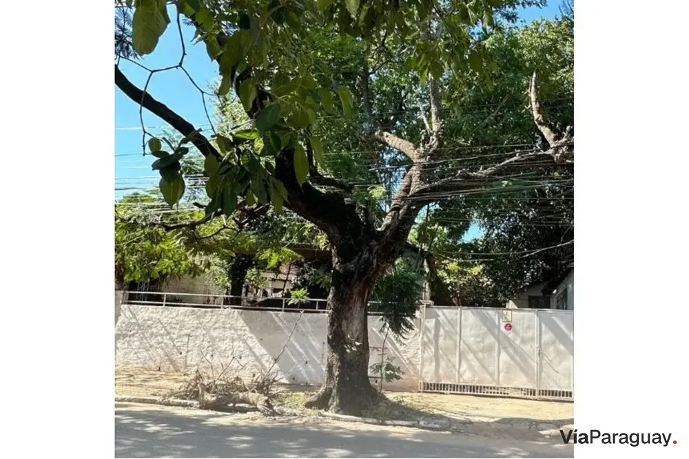 Terreno à venda na Av. Brasilia, Virgen del Huerto