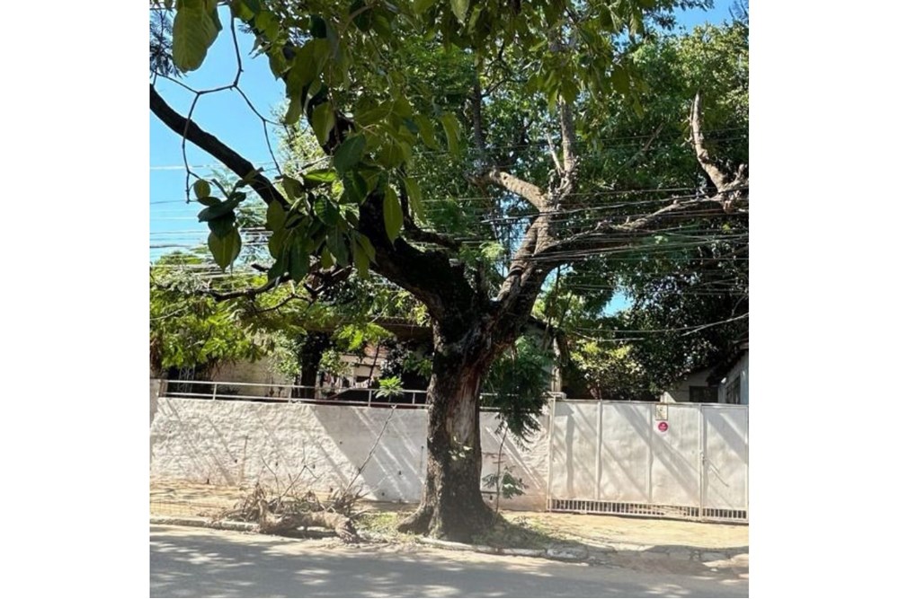 Terreno à venda na Av. Brasilia, Virgen del Huerto