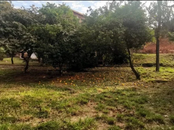 Terreno en venta sobre Av. Perón, Lambaré – Asunción
