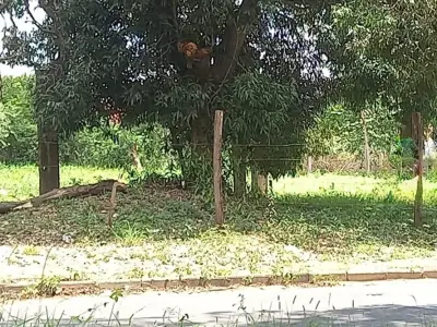Terreno à venda na Avda. Moisés Bertoni, San Lorenzo