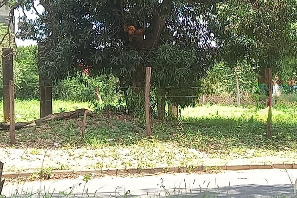 Land for sale on Avda. Moisés Bertoni, San Lorenzo