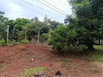 Land for sale on Route 1, San Juan del Paraná 1