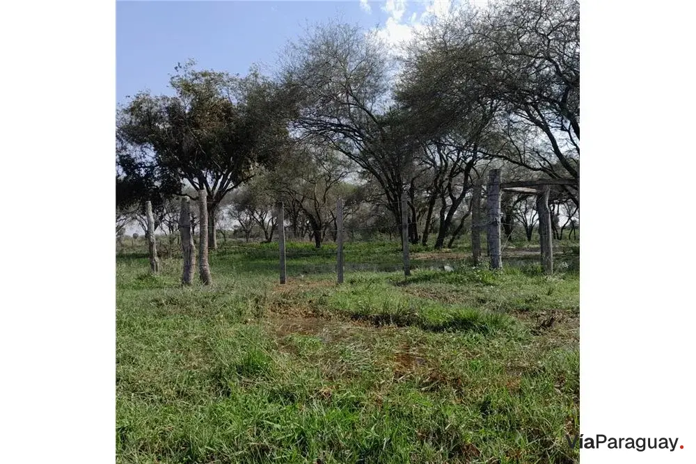 Terreno à venda na Ruta Chaco I, Villa Hayes