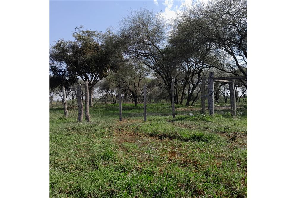Land for sale on Ruta Chaco I, Villa Hayes