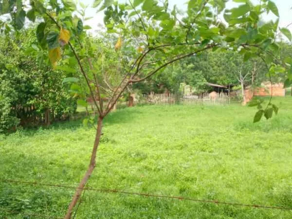 Terreno en venta sobre Ruta Internacional N°1, Yaguarón — 1.638 m²
