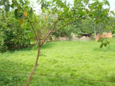 Terreno en venta sobre Ruta Internacional N°1, Yaguarón — 1.638 m²