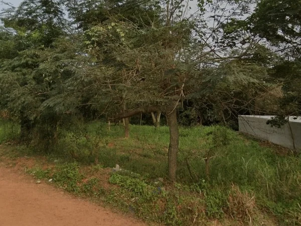 Land for Sale on Main Road in Ypané, Central