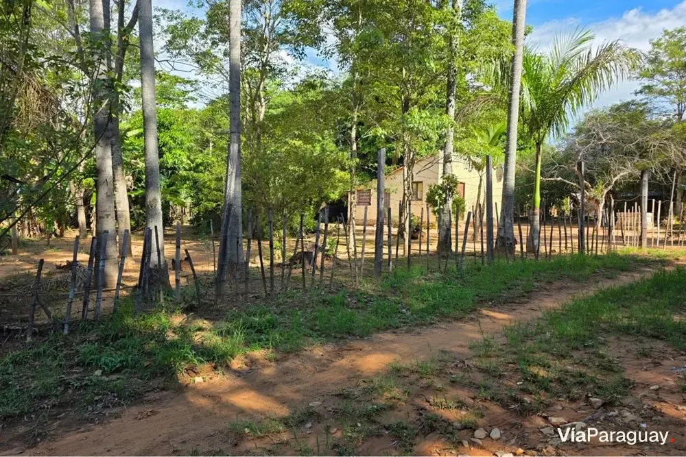 Land for sale in Emboscada