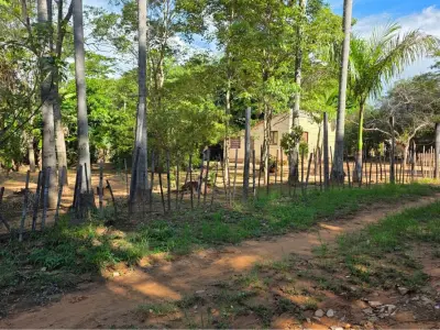 Land for sale in Emboscada