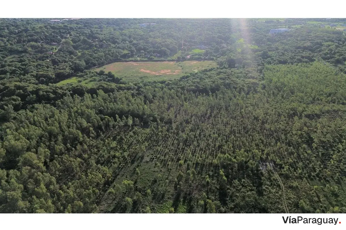 Terreno industrial à venda em Luque, 9,9 hectares
