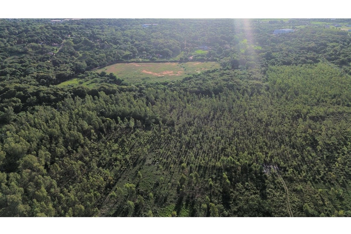 Terreno industrial à venda em Luque, 9,9 hectares