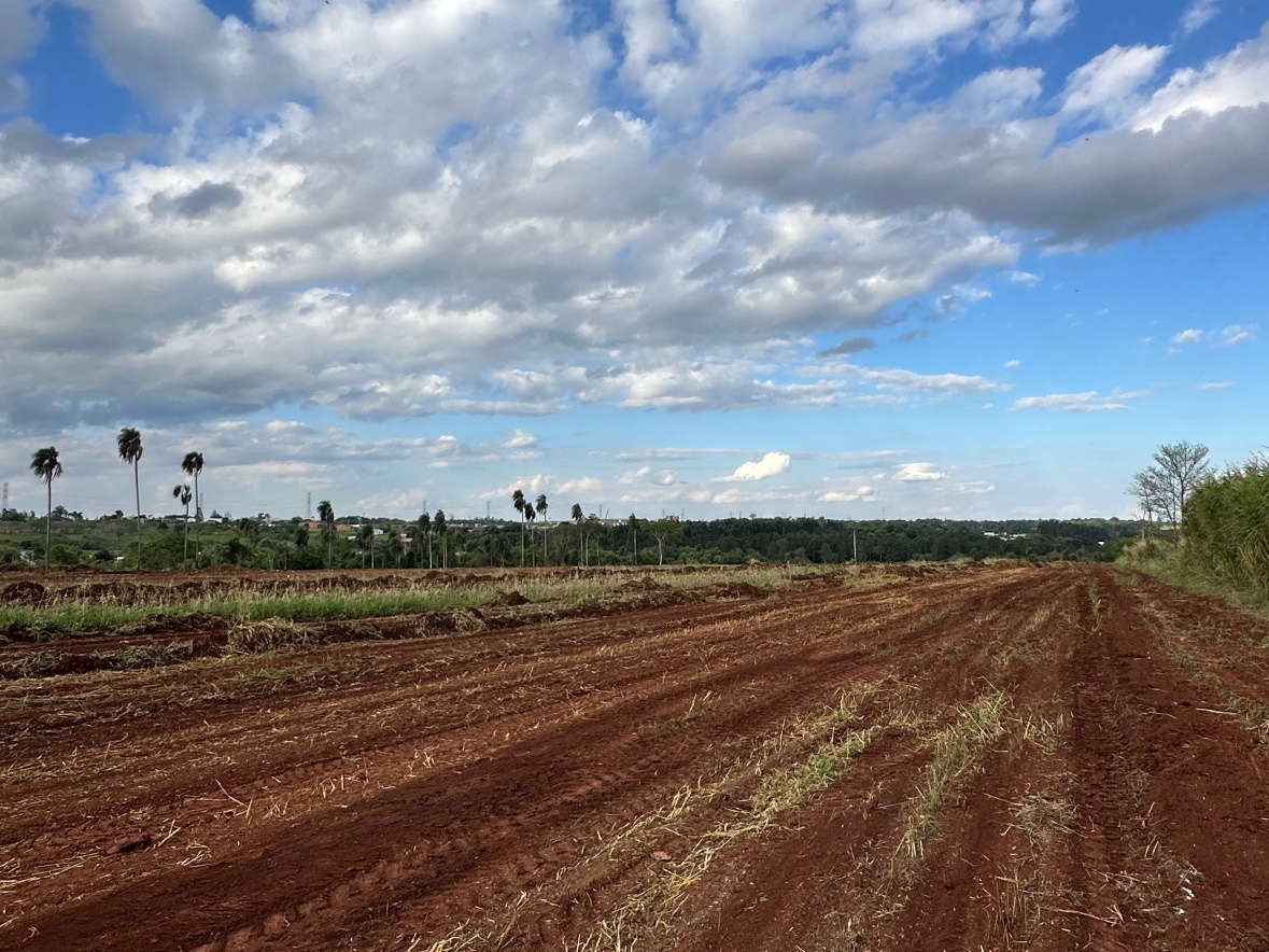 Terreno industrial en venta en Minga Guazú, Fracción Santa Monica