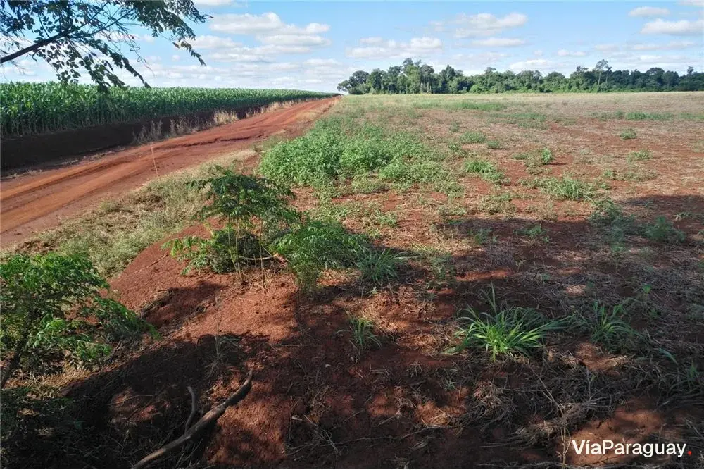 Productive land for sale in Obligado, Itapúa