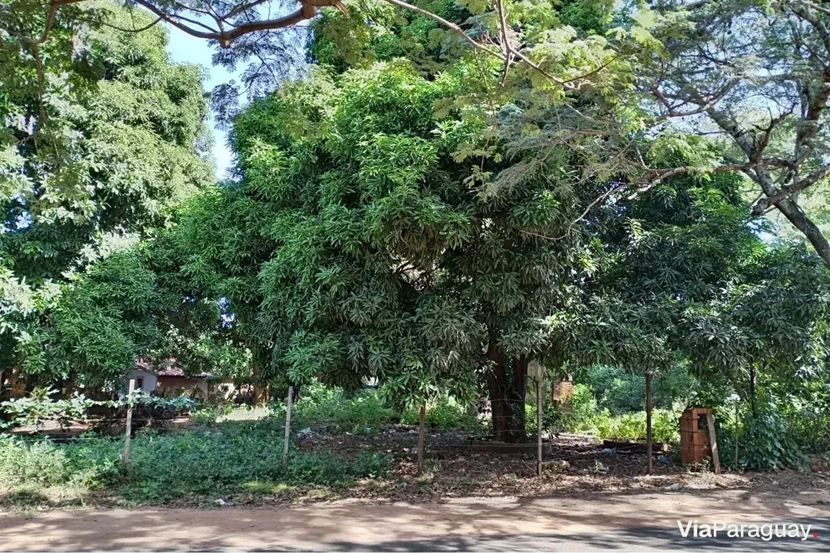 Terreno residencial à venda em Capiatá, Central