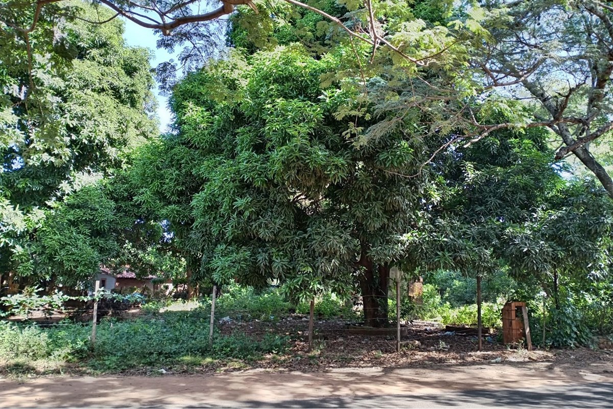 Residential land for sale in Capiatá, Central