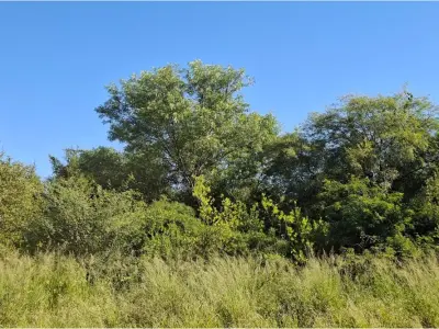 Terreno residencial en venta en Filadelfia, Boquerón