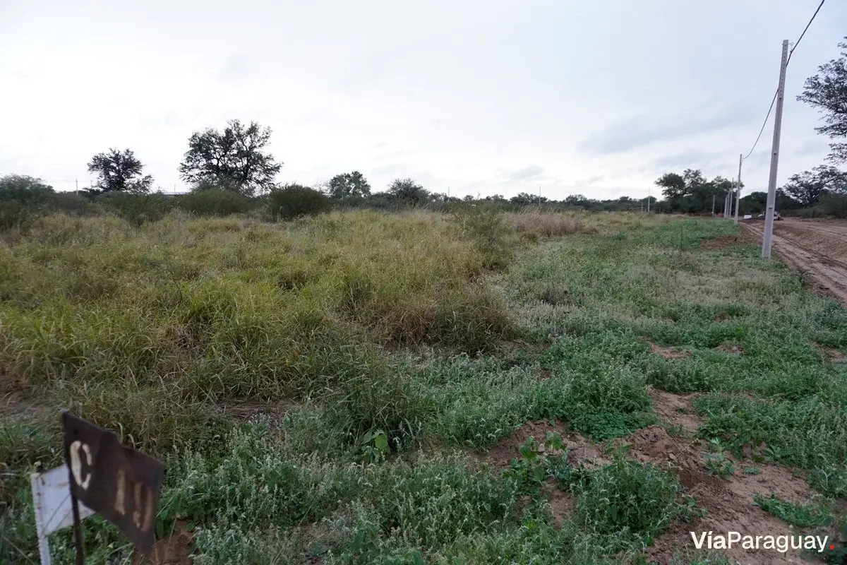 Terreno residencial en venta en Filadelfia, Boquerón